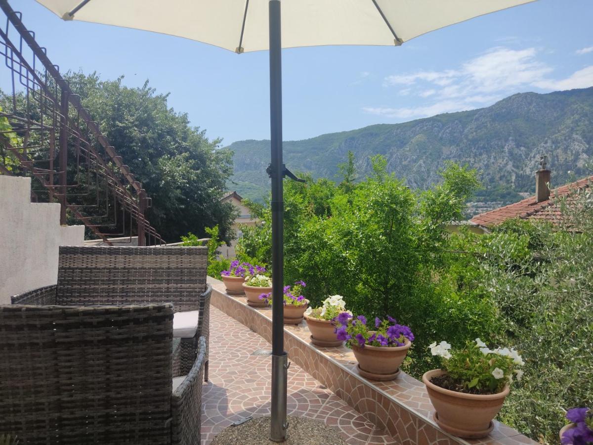 Apartments Feniks Kotor Exteriör bild